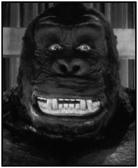 kong