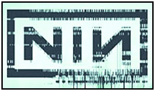 nin